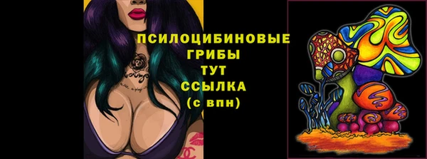 сатива Алексин