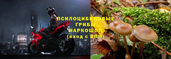 Альфа ПВП Семёнов