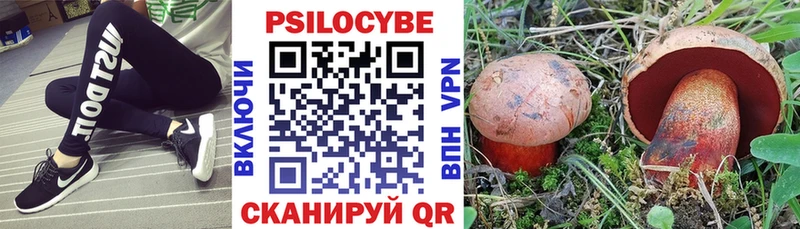 Псилоцибиновые грибы прущие грибы  закладки  Болгар 